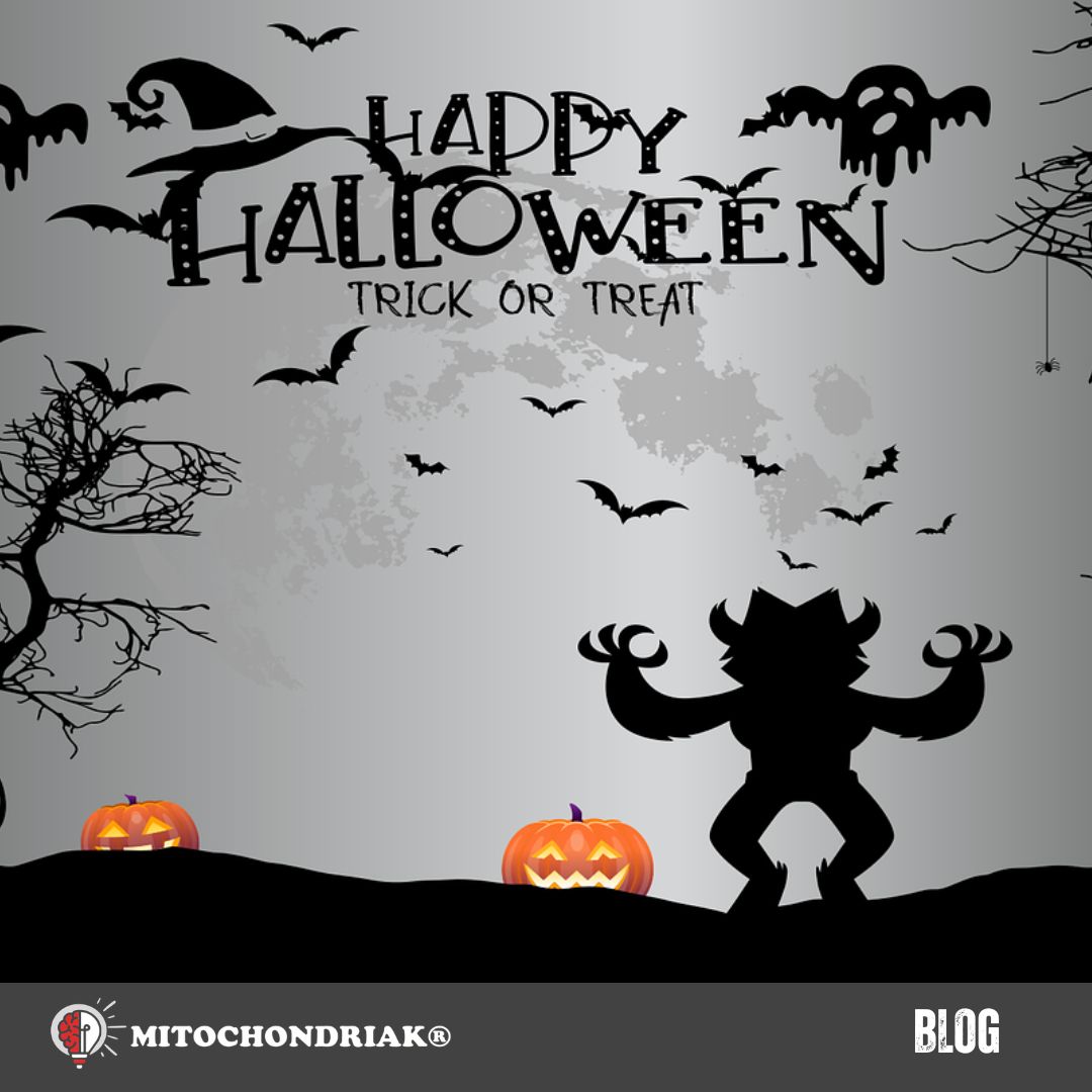 Dlaczego dynia halloweenowa jest pomarańczowo-czerwona